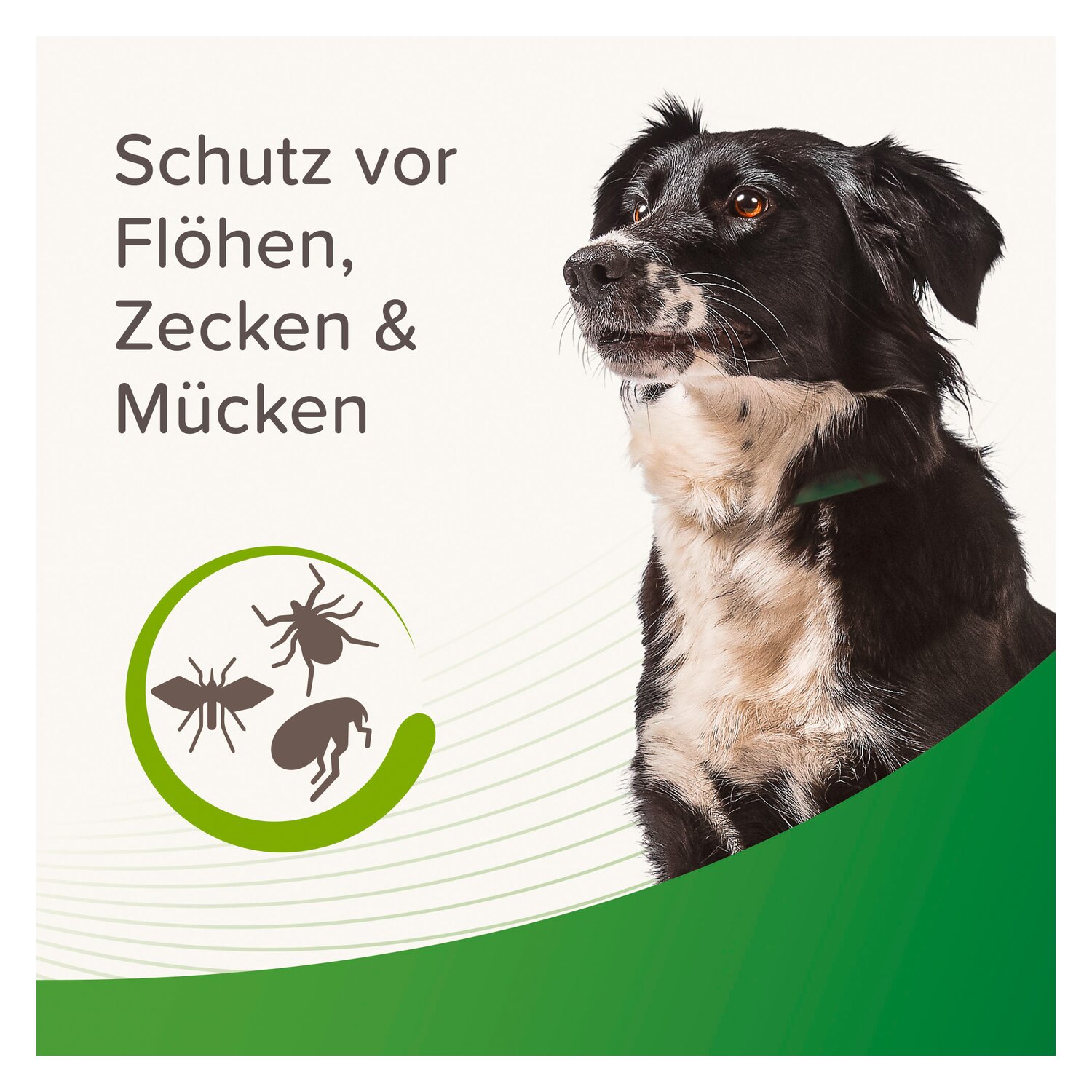 beaphar Floh- und Zeckenhalsband  - 65 cm