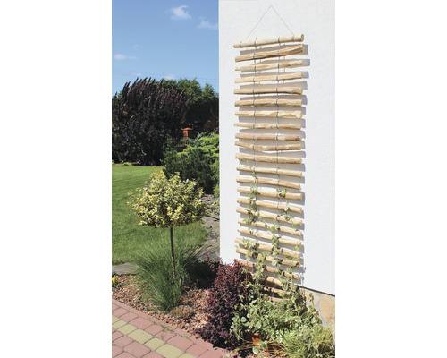 Houten trellis 50 x 1,5 x 200 cm naturel