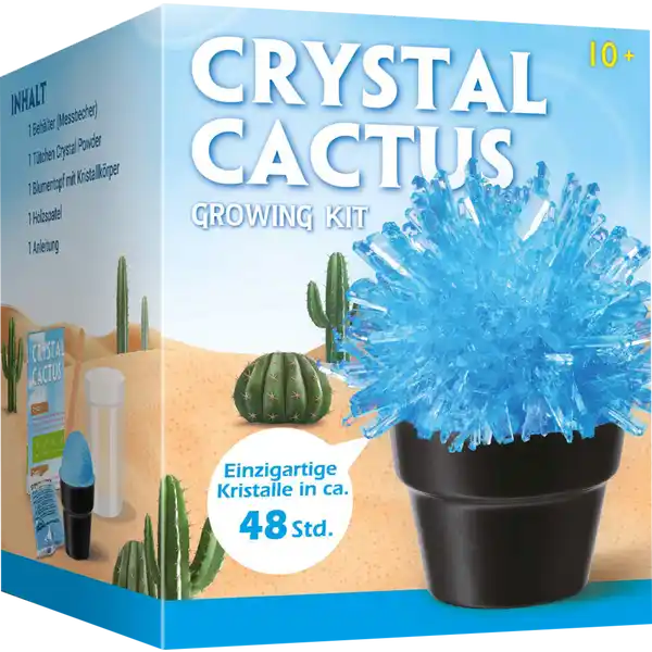 Crystal Cactus Growing Kit