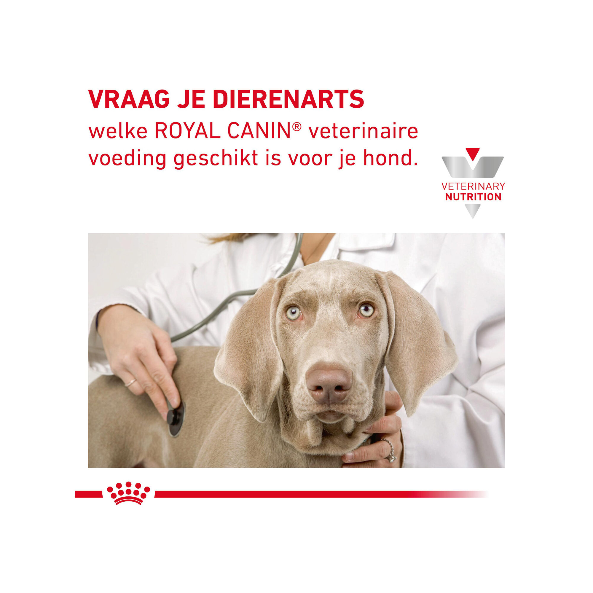 Royal Canin Gastrointestinal High Fibre Hond - Blik