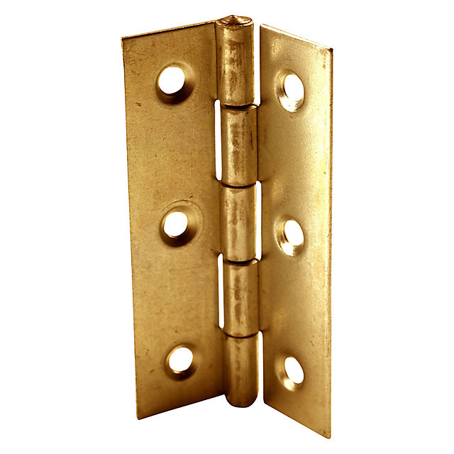 2 charnières laiton Diall 30 x 19 mm