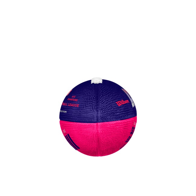 Super Bowl LVIII Junior All-Weather Football