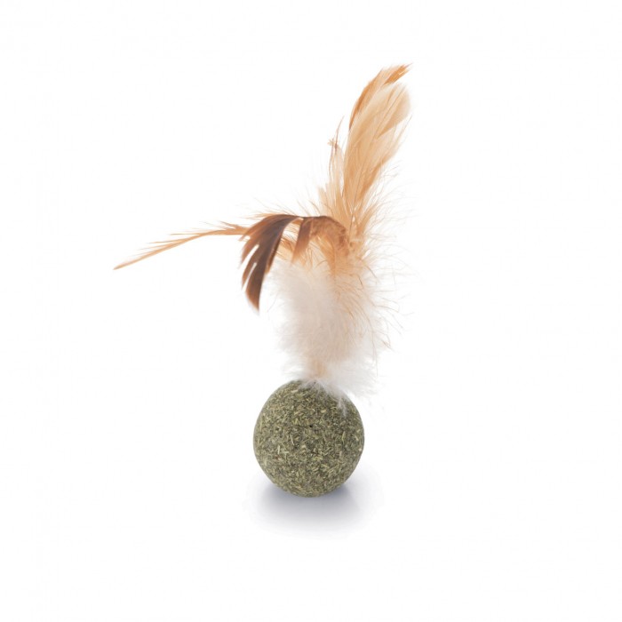 Balle à plumes