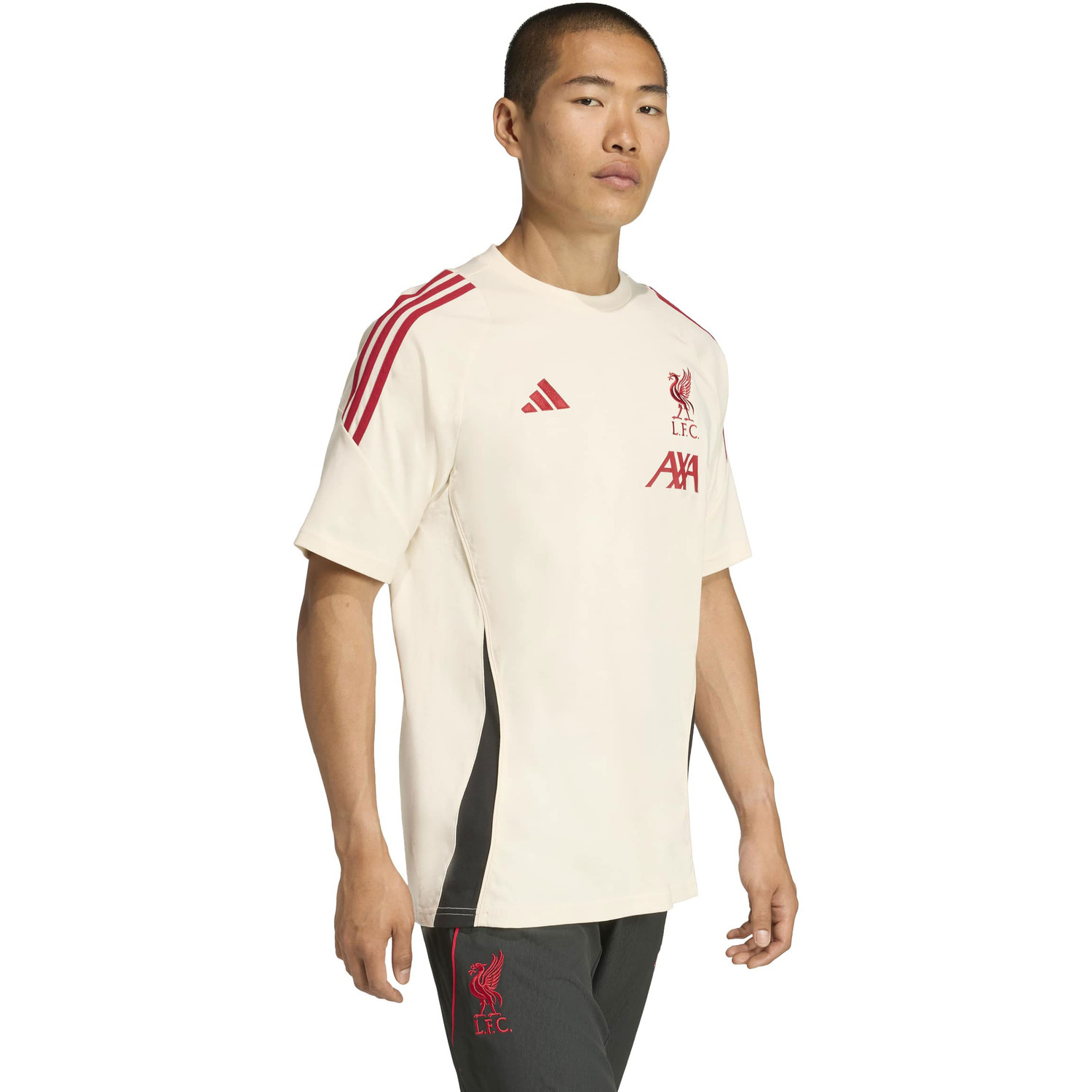 adidas Liverpool Tee 2025/2026