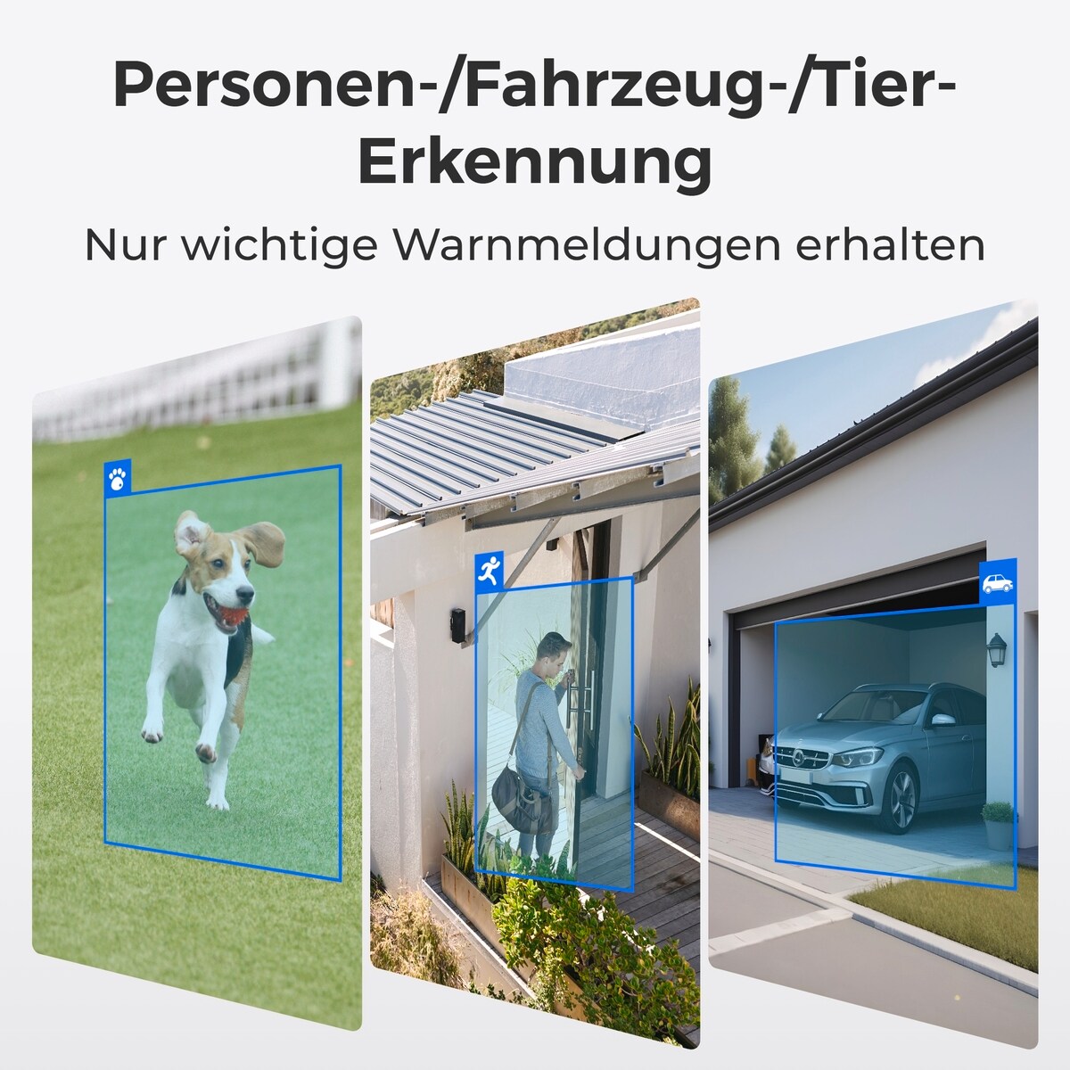 Reolink P344 PoE Cam