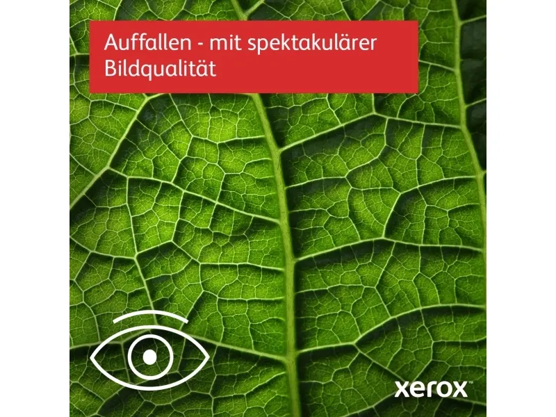 Xerox B225 - Multifunktionsprinter - S/H - laser - A4/Legal (medie) - op til 34 spm (udskriver) - 250 ark - USB 2.0, LAN, Wi-Fi(n), USB 2.0 vært - Green World Alliance returneringsprogram