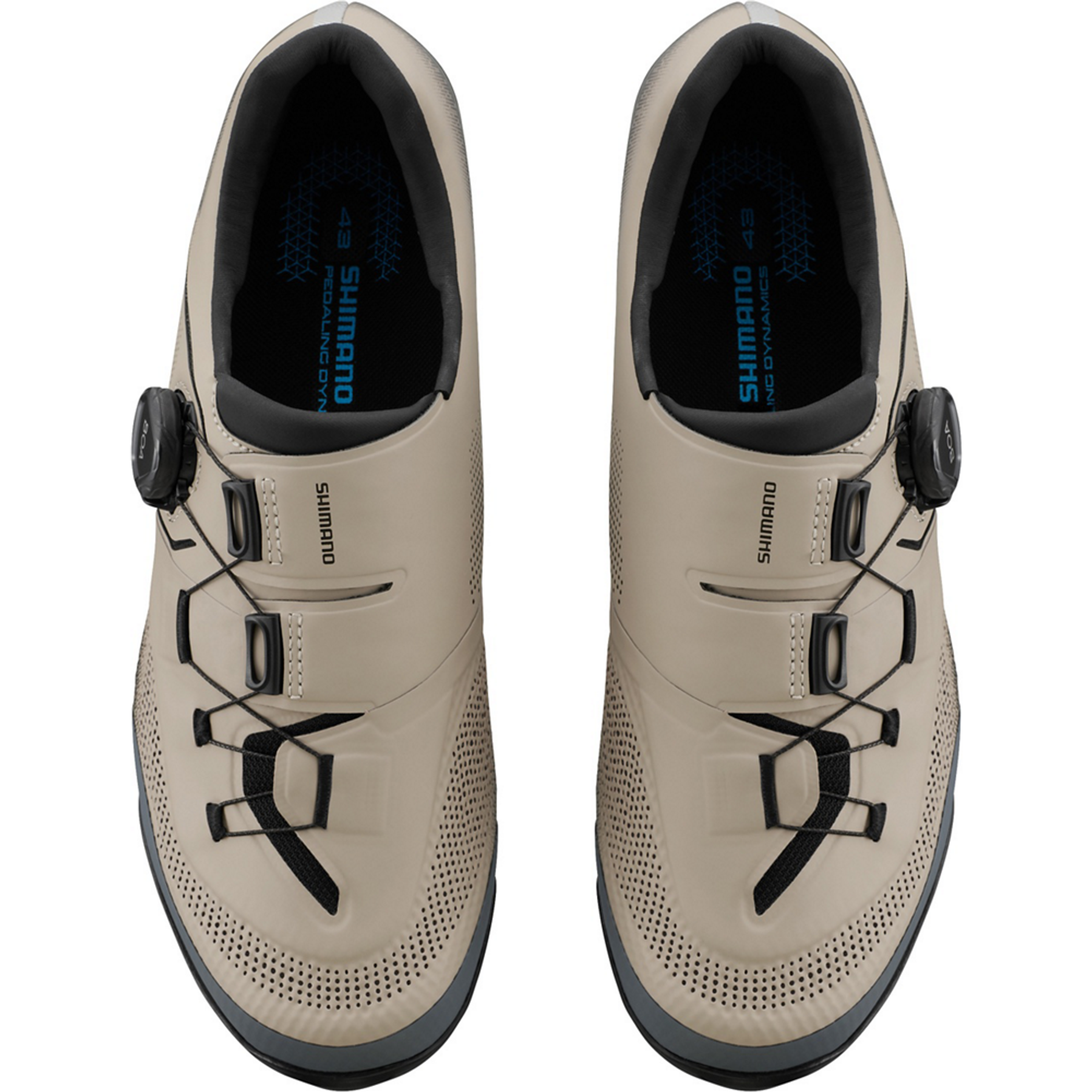 Shimano XC503 MTB Schoenen