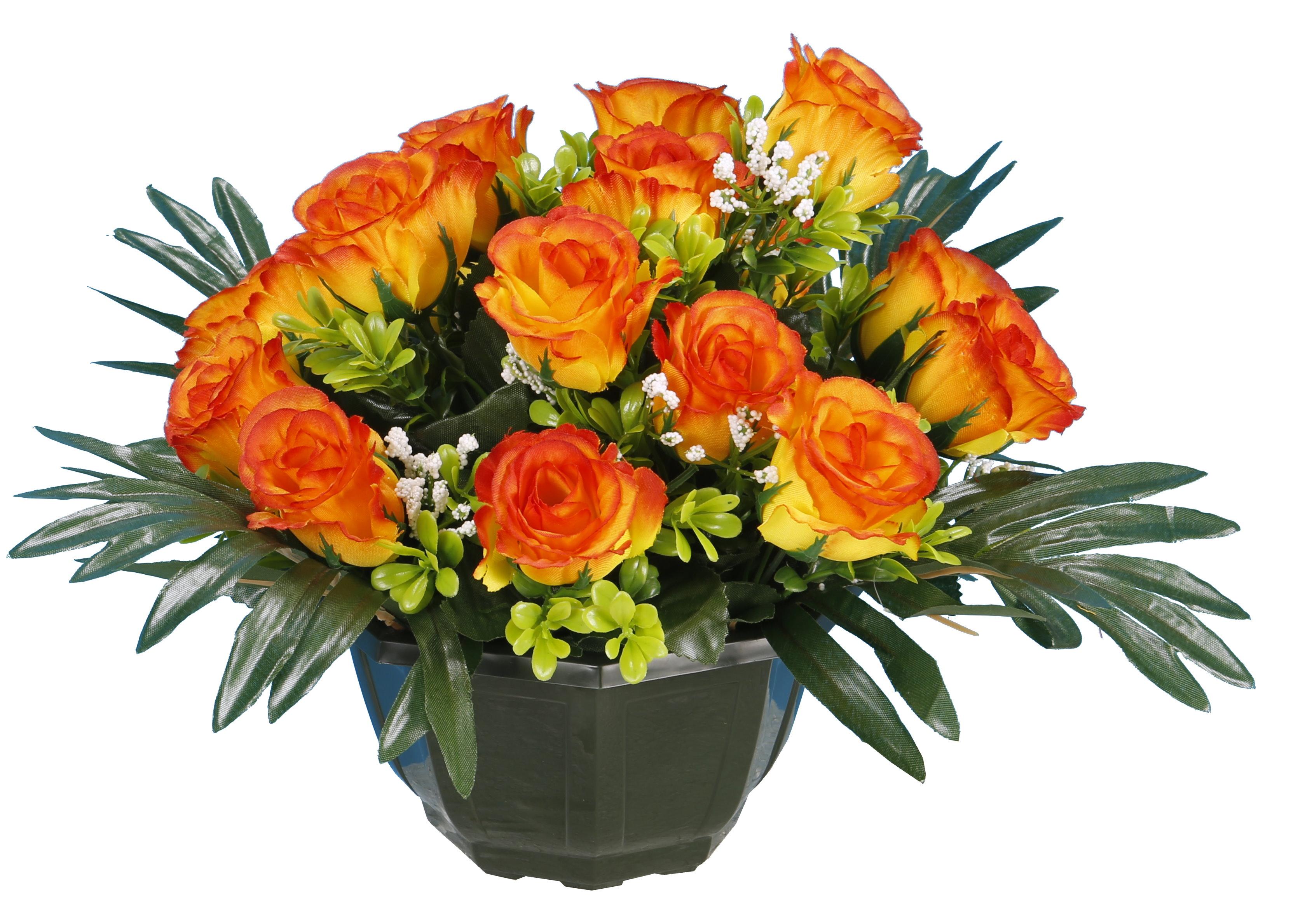 COUPE ROSETTES