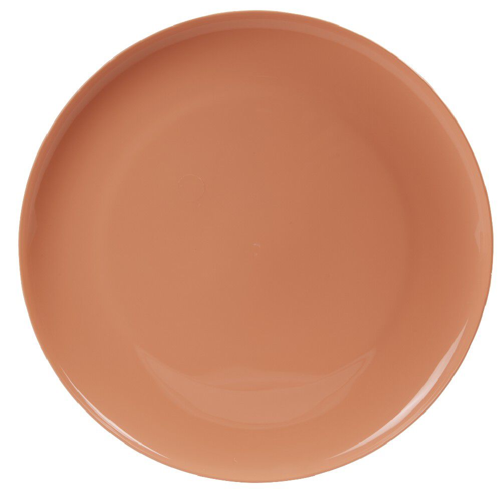 Assiette en plastique couleur unie x 4