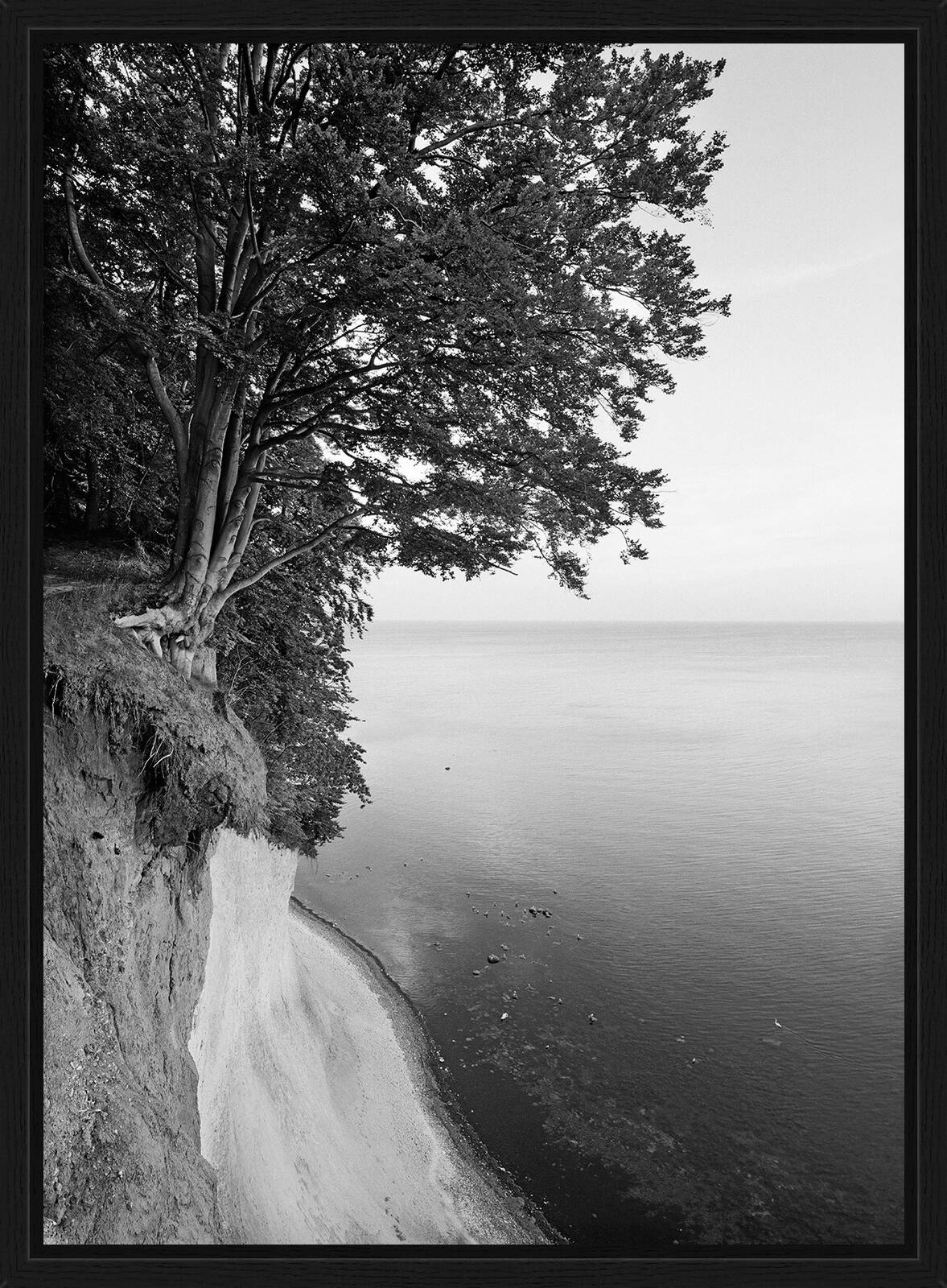 Jasmund II by Ralph Von Kaufmann - Limited Edition. Edition of: 150. Signed.