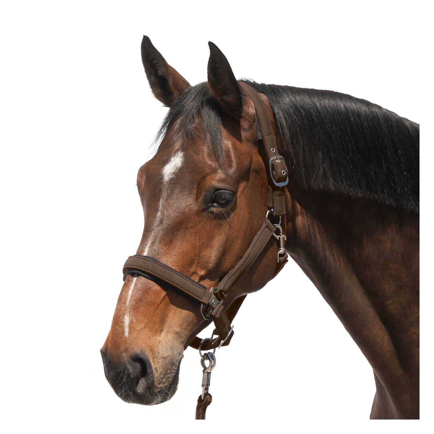 Cheval de Luxe Halfter Toulouse  - braun