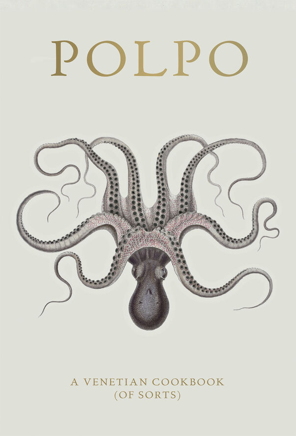 New Mags Polpo