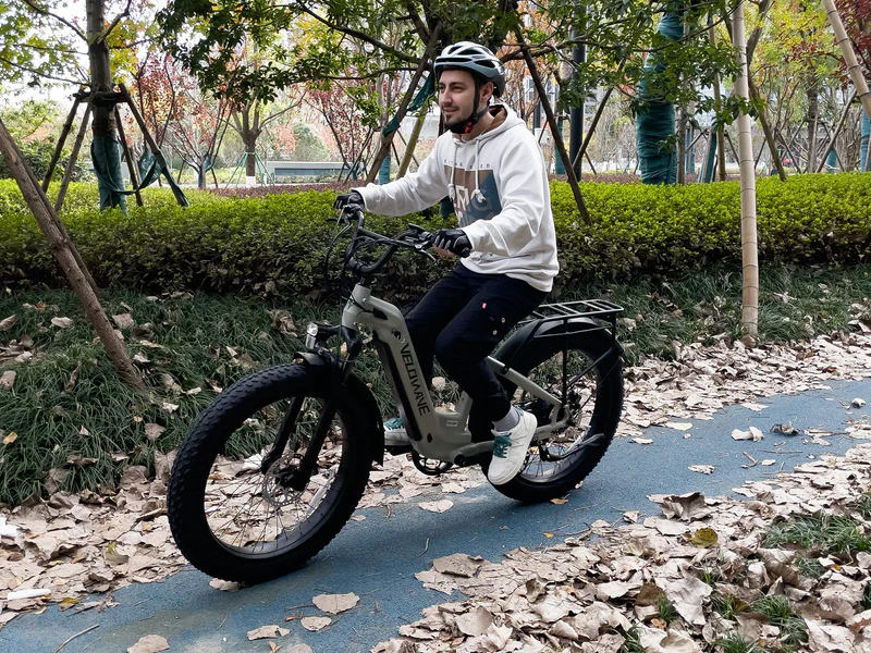 Bicicleta elétrica Ranger Step-Thru 2.0