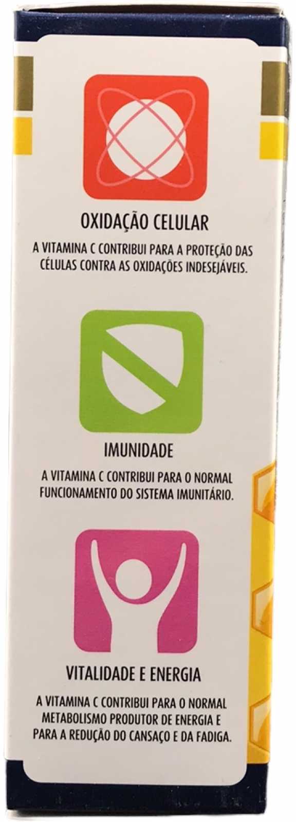 Absorbit Geleia Real e Ferro 20 frascos