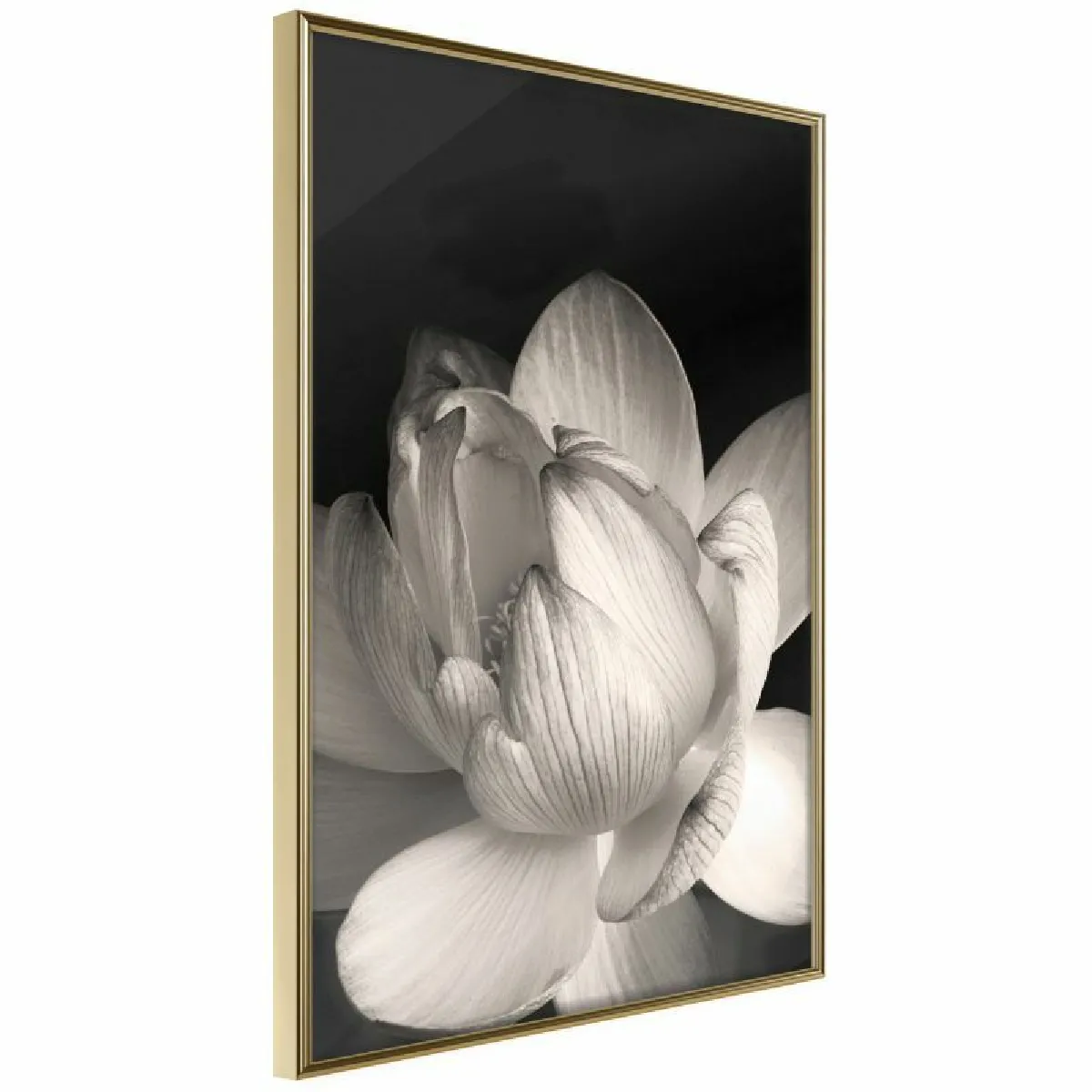 Paris Prix Affiche Delicacy of a Flower - Or