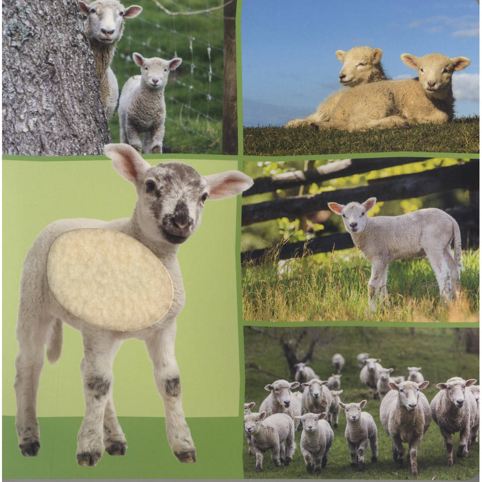 Welk dier hoor ik hier? boerderijdieren geluidenboek