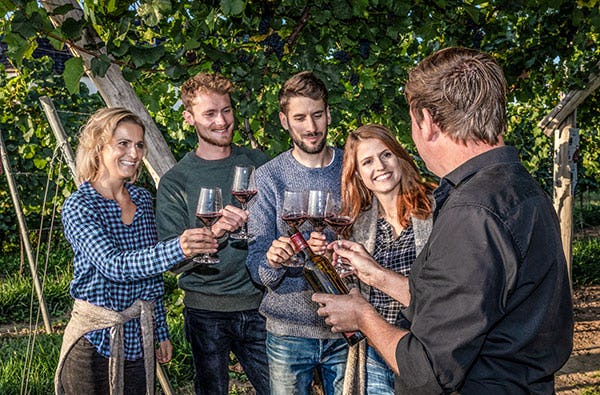 Weinbergwanderung in Schriesheim als Geschenk
