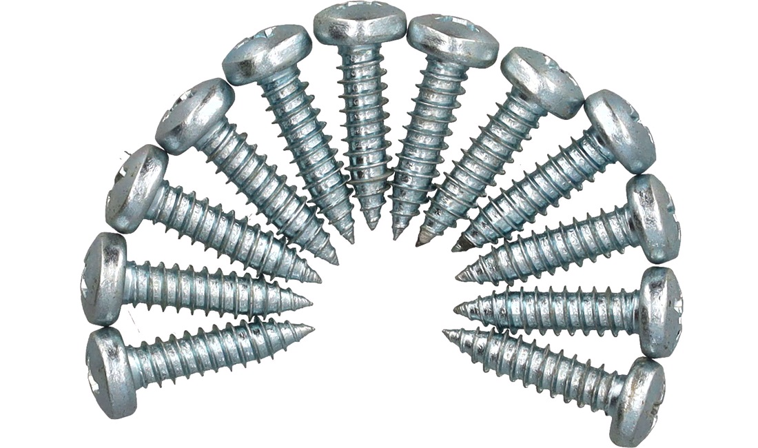 Skruer PH M6x25 mm - 12 stk.