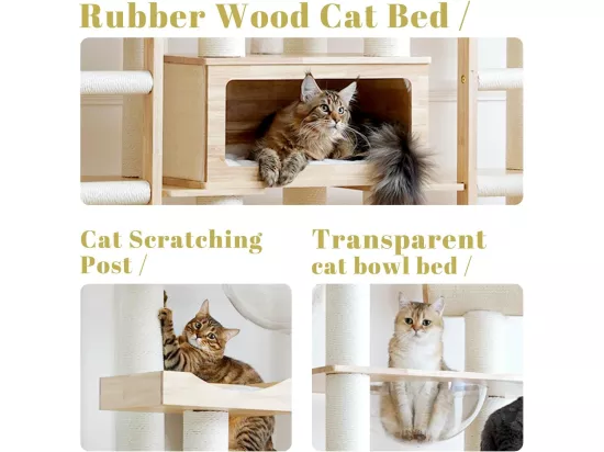 Arbre à chat, Cadre d'escalade pour chat en bois, 275cm×h238cm