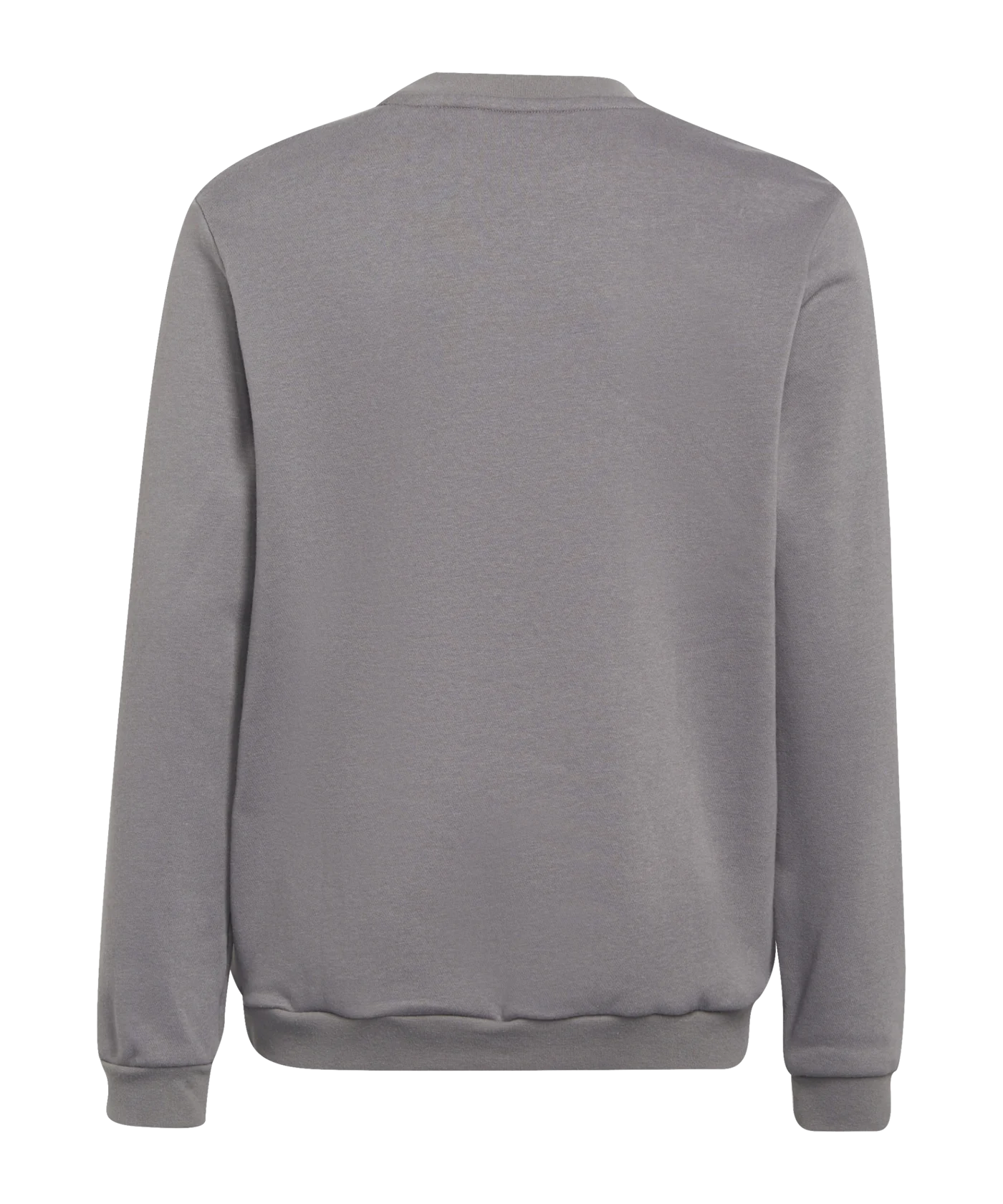 adidas Entrada 22 Sweatshirt Kids Grau