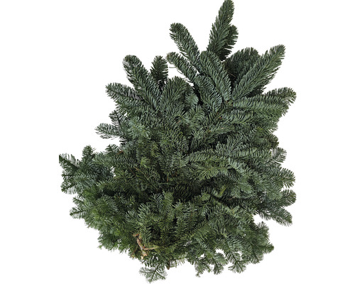 Dennengroen, edelspar, snijgroen, handgebonden bos ca. 2,5 kg