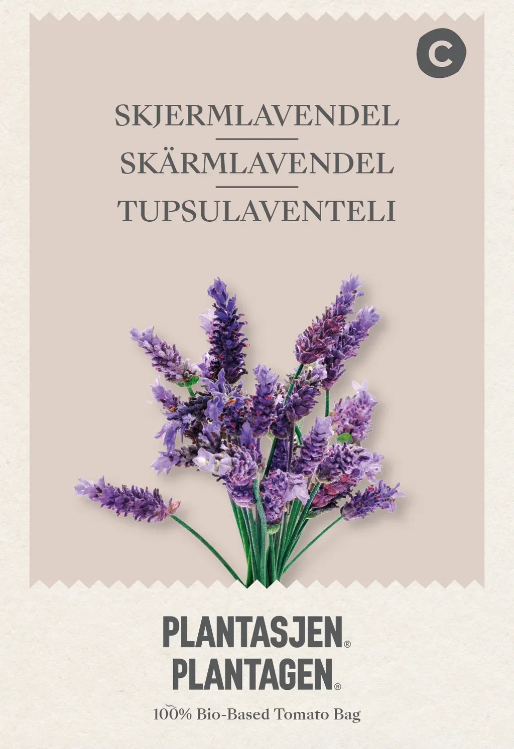 Lavandula stoechas Sommerfugllavendel
