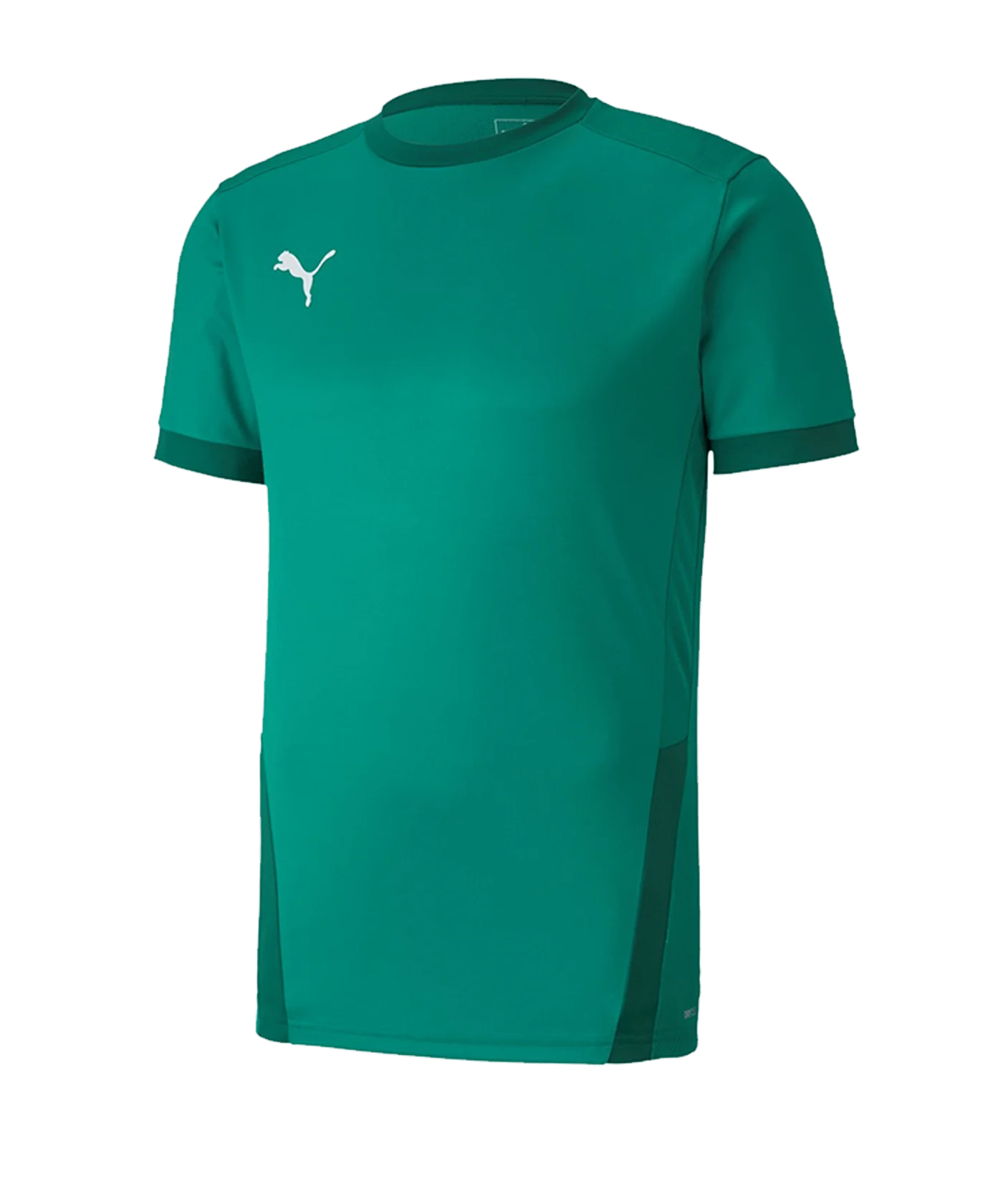 PUMA teamGOAL 23 Trikot kurzarm Kids Grün F05