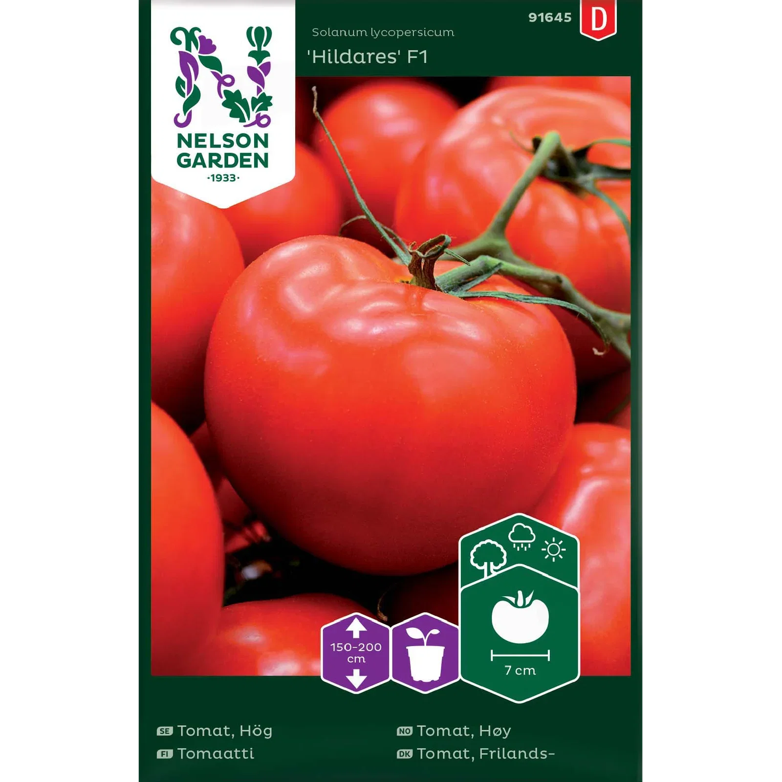 Solanum lycopersicum 'Hildares' Tomat 'Hildares'