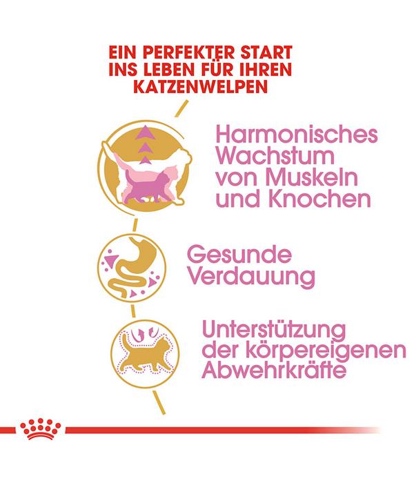 ROYAL CANIN® Trockenfutter für Katzen