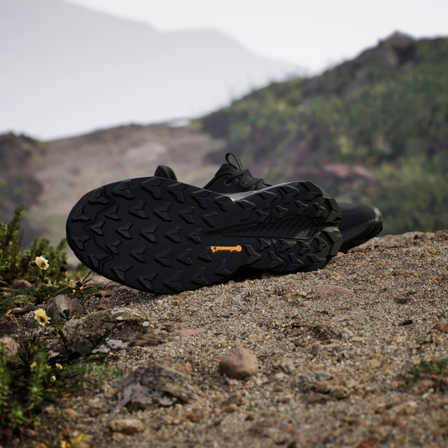 adidas TERREX Wanderschuh »TERREX TRAILMAKER 2.0 LEATHER«  aus Leder