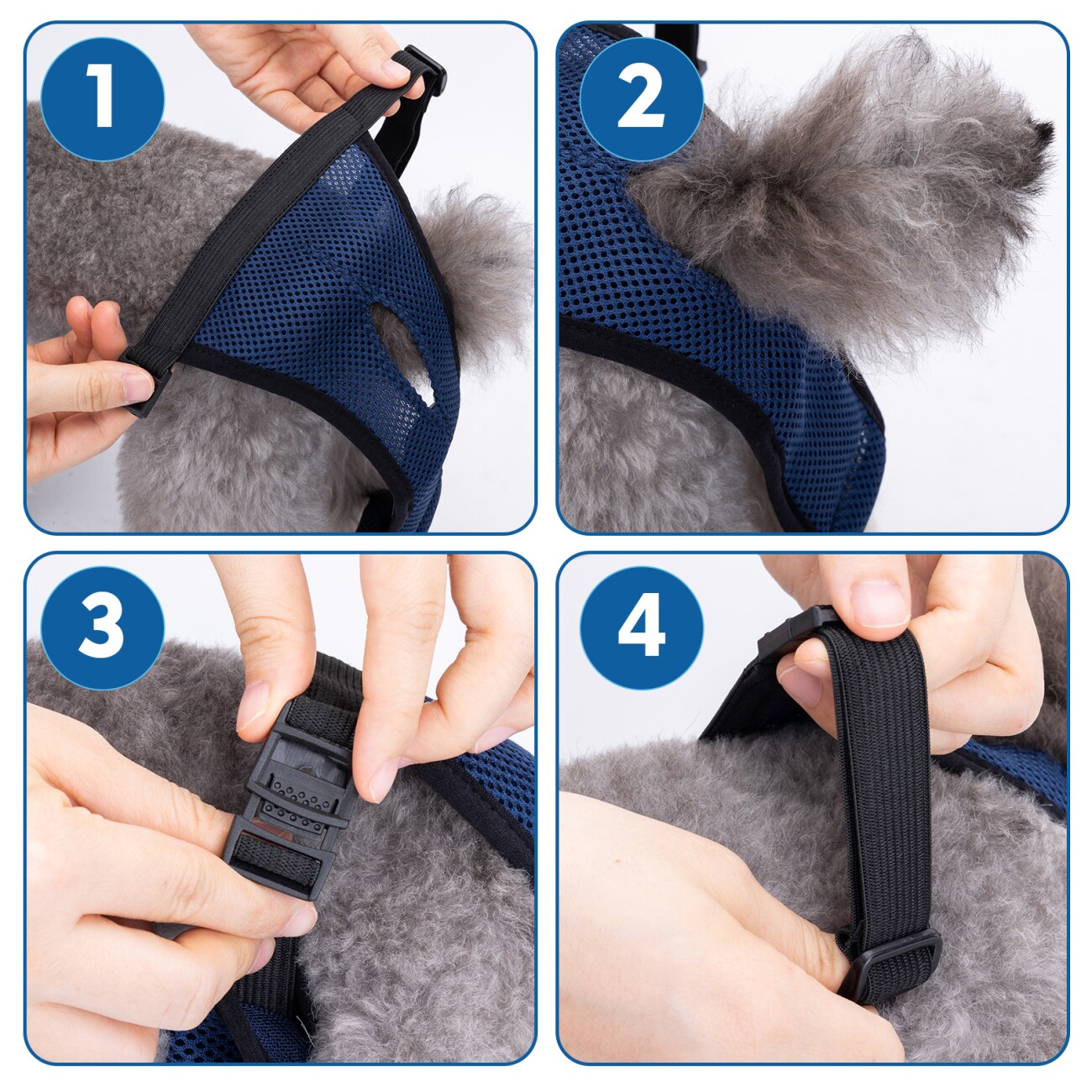 nobleza - Hygienehose für Hunde S