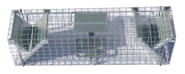 Live Trap rotte, mår, stangkatt, katt, rev 122x29x32cm