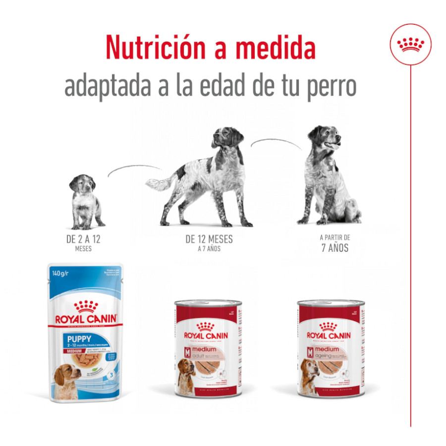 Ração Royal Canin Medium 7+ para cães idosos