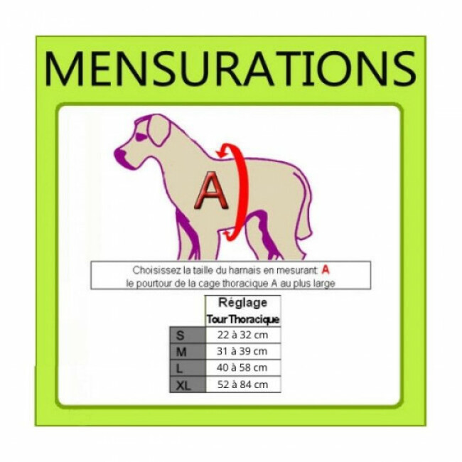 Harnais d'éducation pour chiens Easy Walker