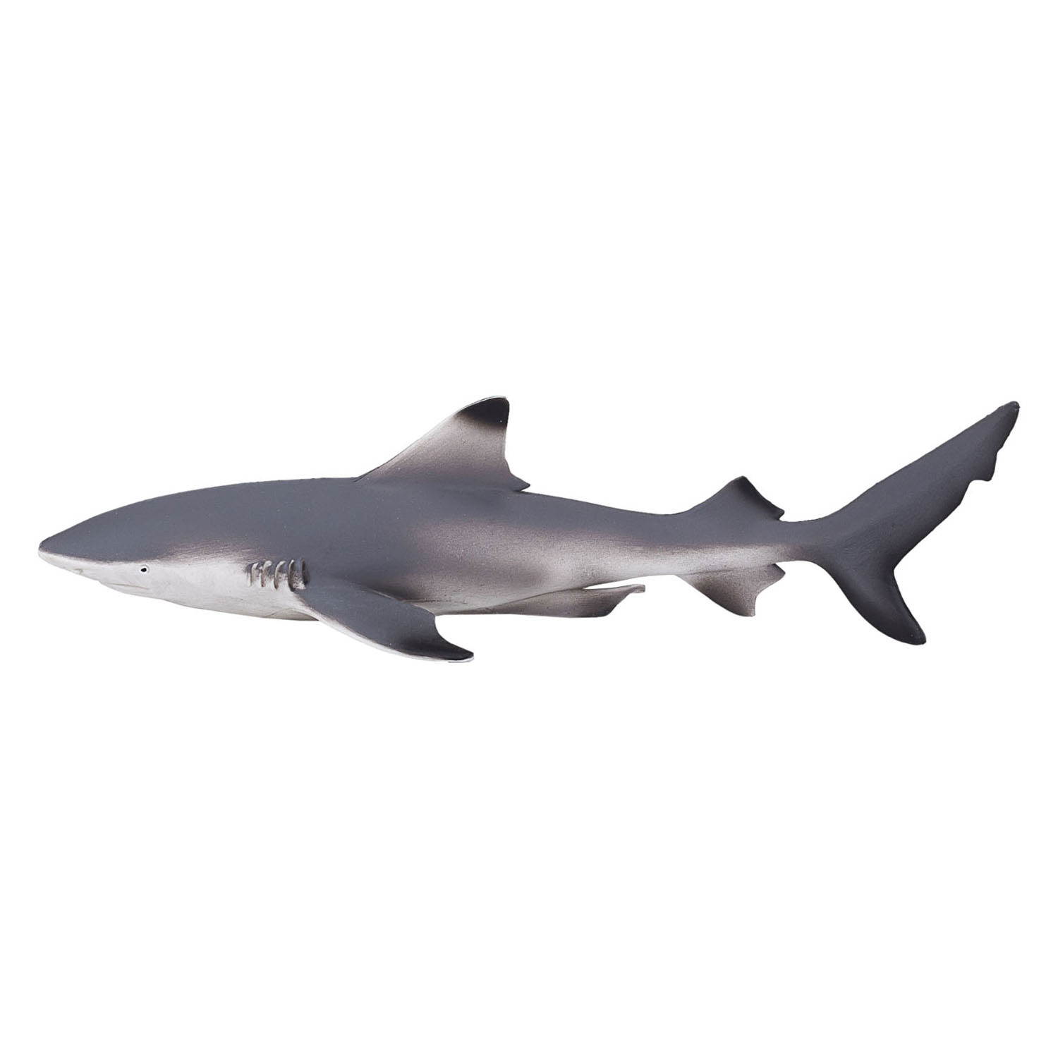 Mojo Sealife Zwartpuntrifhaai 387357