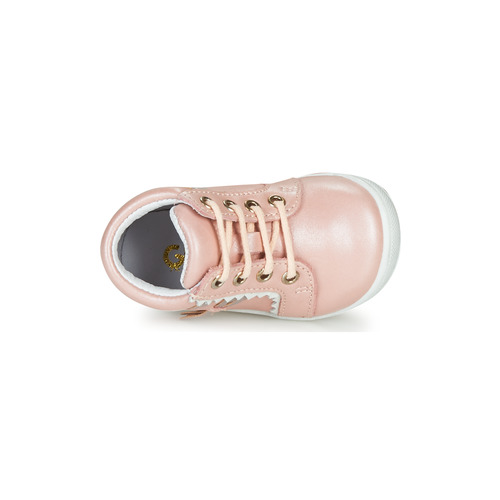 GBB - ACINTA - Rose