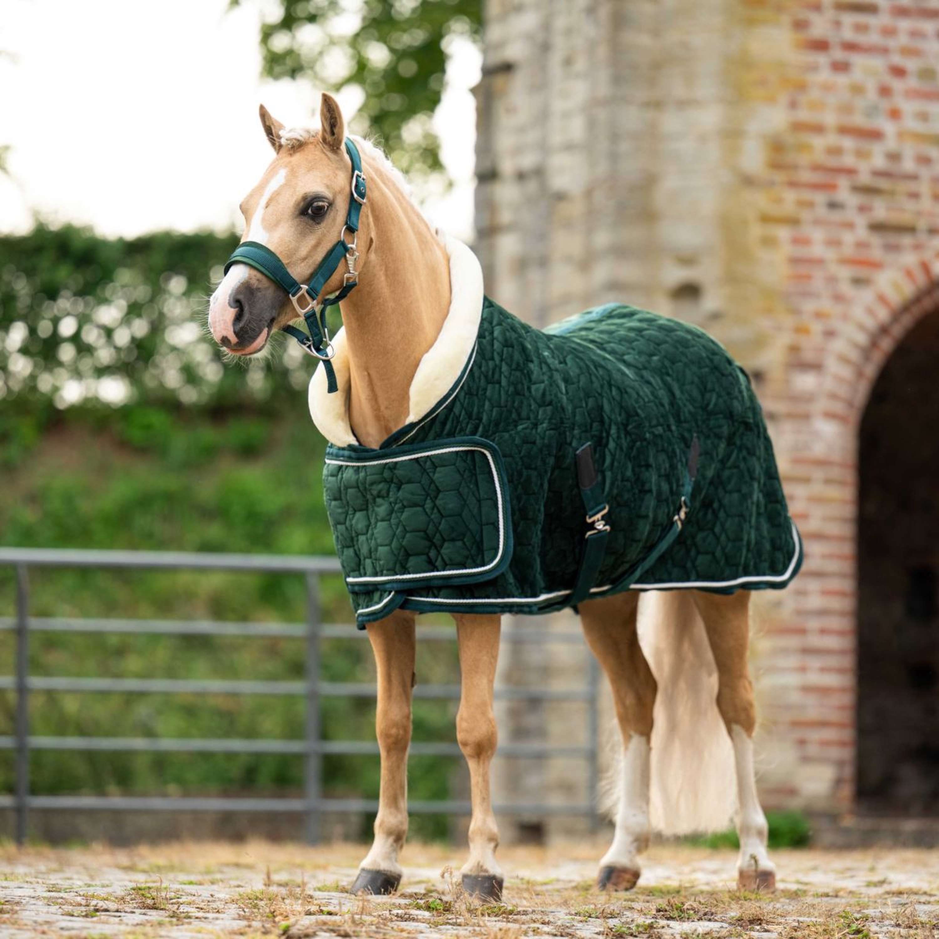 HB Ruitersport Showdeken Special Peach Forest Green