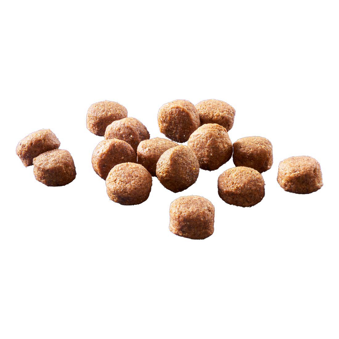 Welkoop Select Adult Krokante brokken - Hondenvoer - 12 Kilogram - Lam & rijst