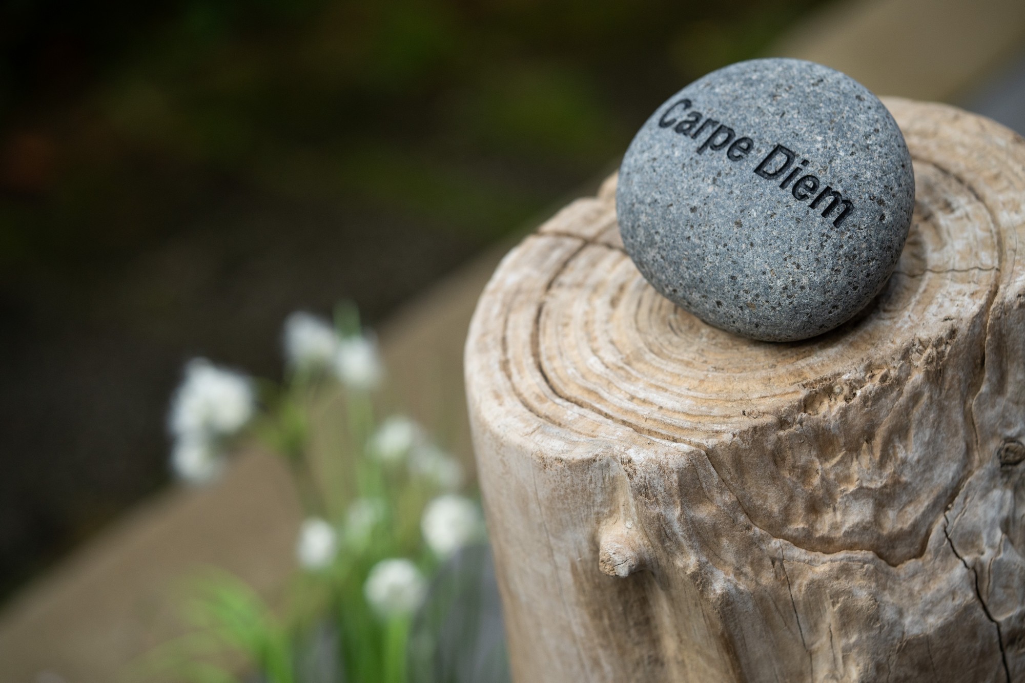 Flusskiesel 'Carpe Diem', B 10-11 cm, H 3 cm von fischer's lagerhaus