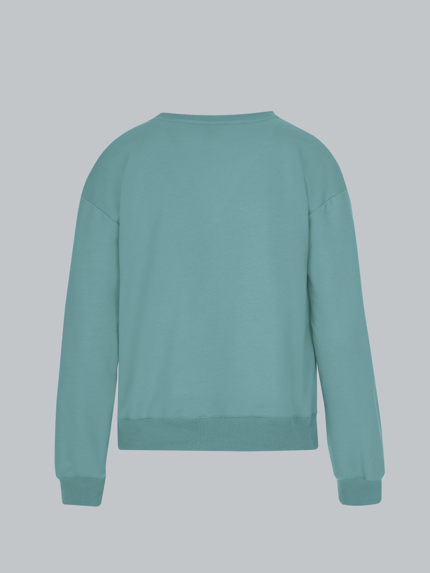 Dünnes Sweatshirt Seegras