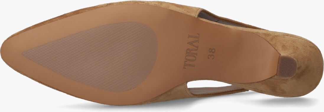 camel toral hakken lenore
