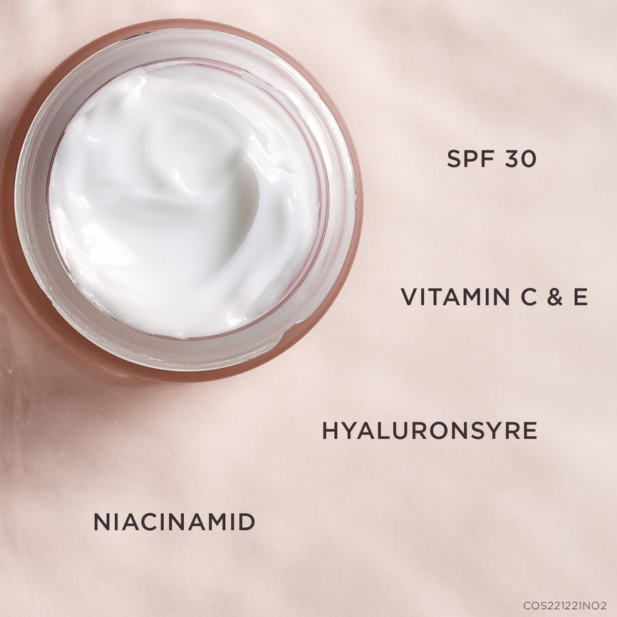 Cosmica Age Delay Day Cream SPF30 50 ml