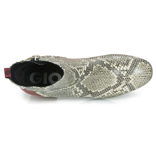 Gioseppo - NEUBURG - Python / Bordeaux