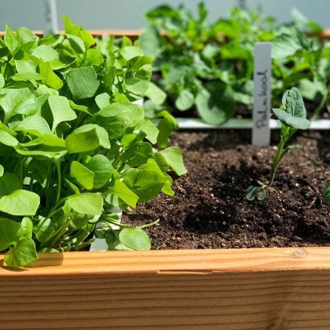 Makkelijke moestuin voeding mix 20 L