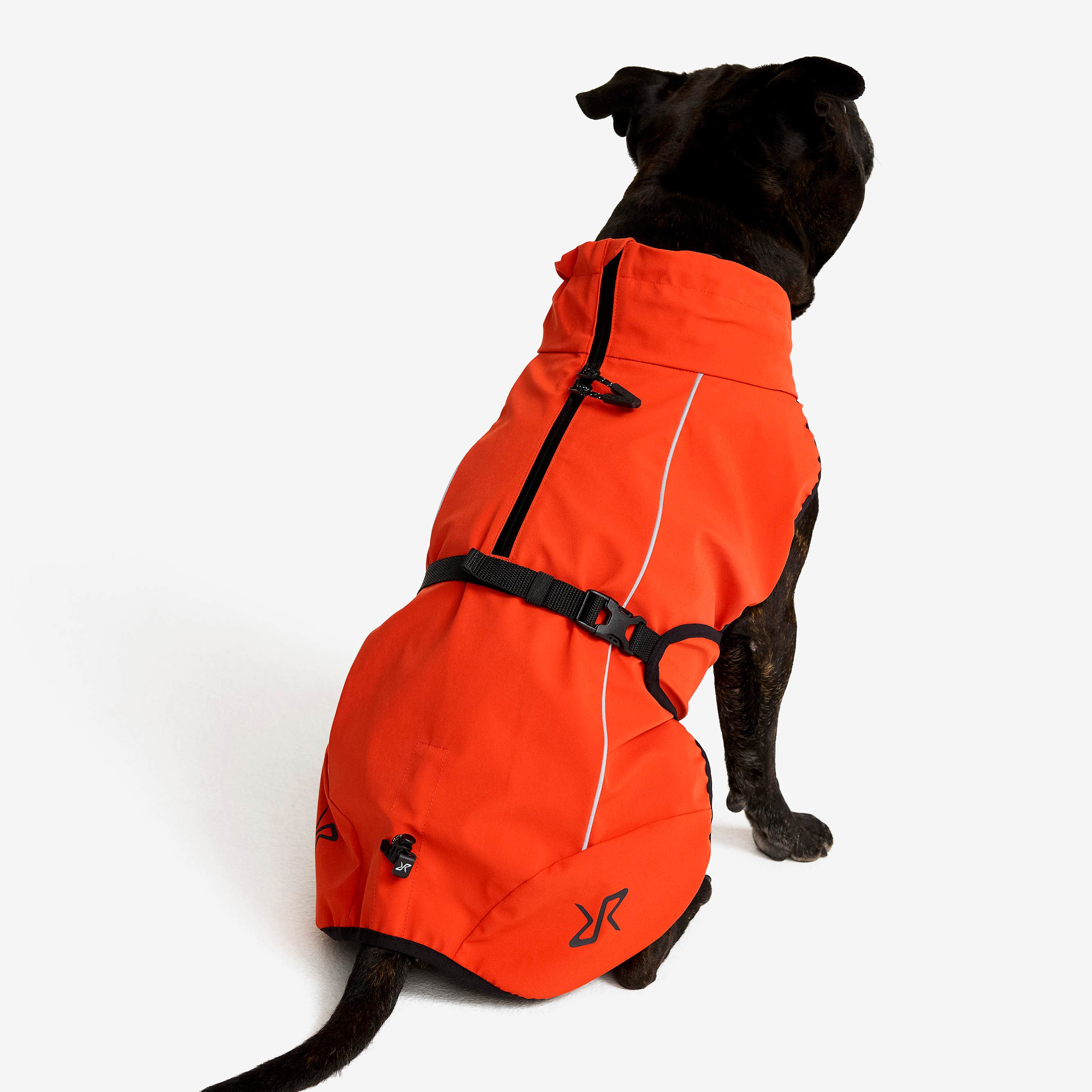 Cyclone Dog Jacket Hund Pureed Pumpkin
