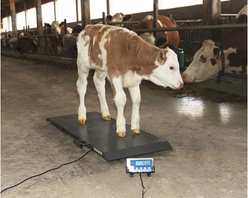 Kerbl PS 1000 dierenweegschaal, weegstappen van 200 g, weegbereik 500 kg