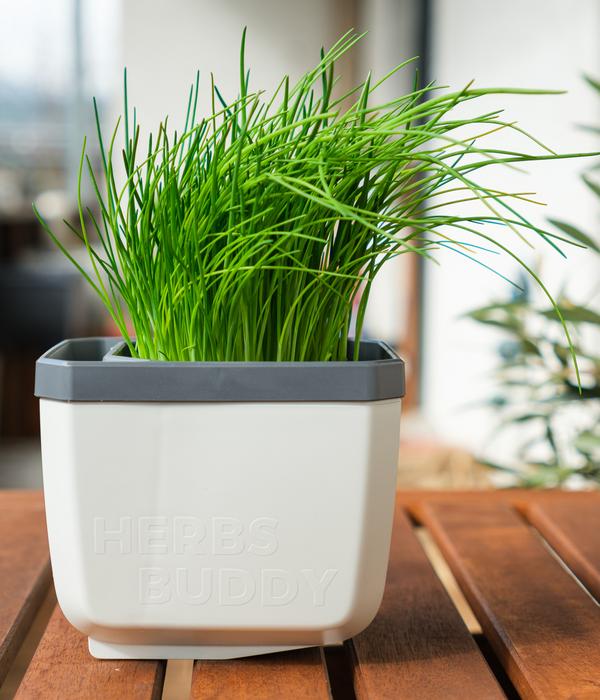 Gusta Garden Kräutertopf Herbs Buddy, ca.