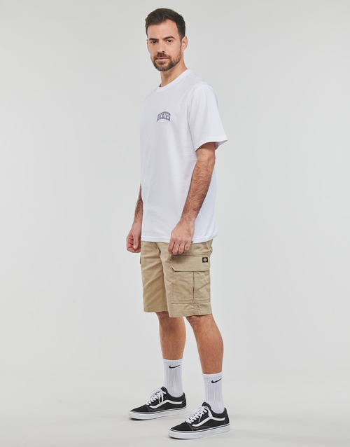 Dickies - AITKIN CHEST TEE SS - Blanc