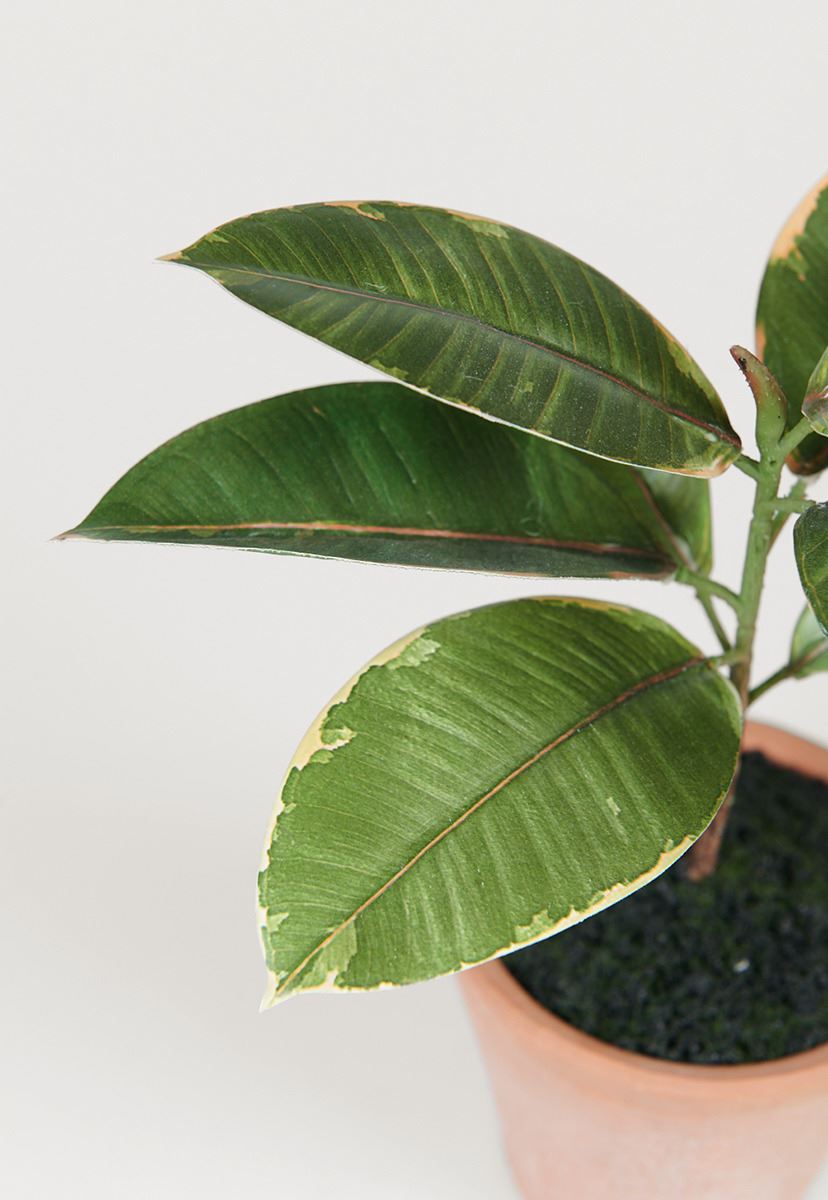 Plante grønn - 10x10x25 cm