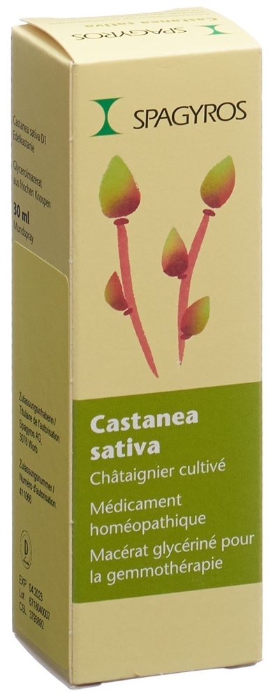 Spagyros Castanea sativa Glyc Maz 1 D Spr 30 ml